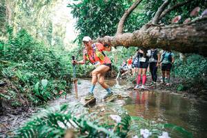 BIB: 
                            <button type="button" onclick="openModal(25516237)" class="btn btn-primary btn-sm float-right btn-popup" data-toggle="modal" data-target=".modal-high-quality">
                        <i class="fas fa-shopping-cart"></i> Add to Cart
                    </button>
                                            <button type="button" onclick="isThisMe(25516237, true)" class="btn btn-success btn-sm float-right btn-popup btn-isme hidden" data-toggle="tooltip" data-placement="bottom" title="นี่คือรูปของคุณใช่ไหม คลิกที่นี่เพื่อเอาเข้าอัลบั้ม">
                        <i class="fas fa-plus"></i> Add to album
                    </button>
                    <button type="button" onclick="isThisMe(25516237, false)" class="btn btn-warning btn-sm float-right btn-popup btn-isnotme hidden">
                        <i class="fas fa-ban"></i> Remove from album
                    </button>